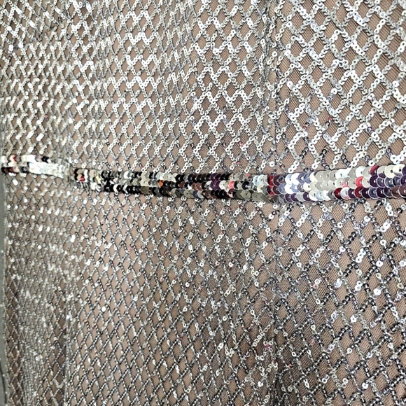 Nwot Adrianna Pappel Shortsleeve Silver Sequin Luxe Mesh/Tan Column Form… - Picture 10 of 17
